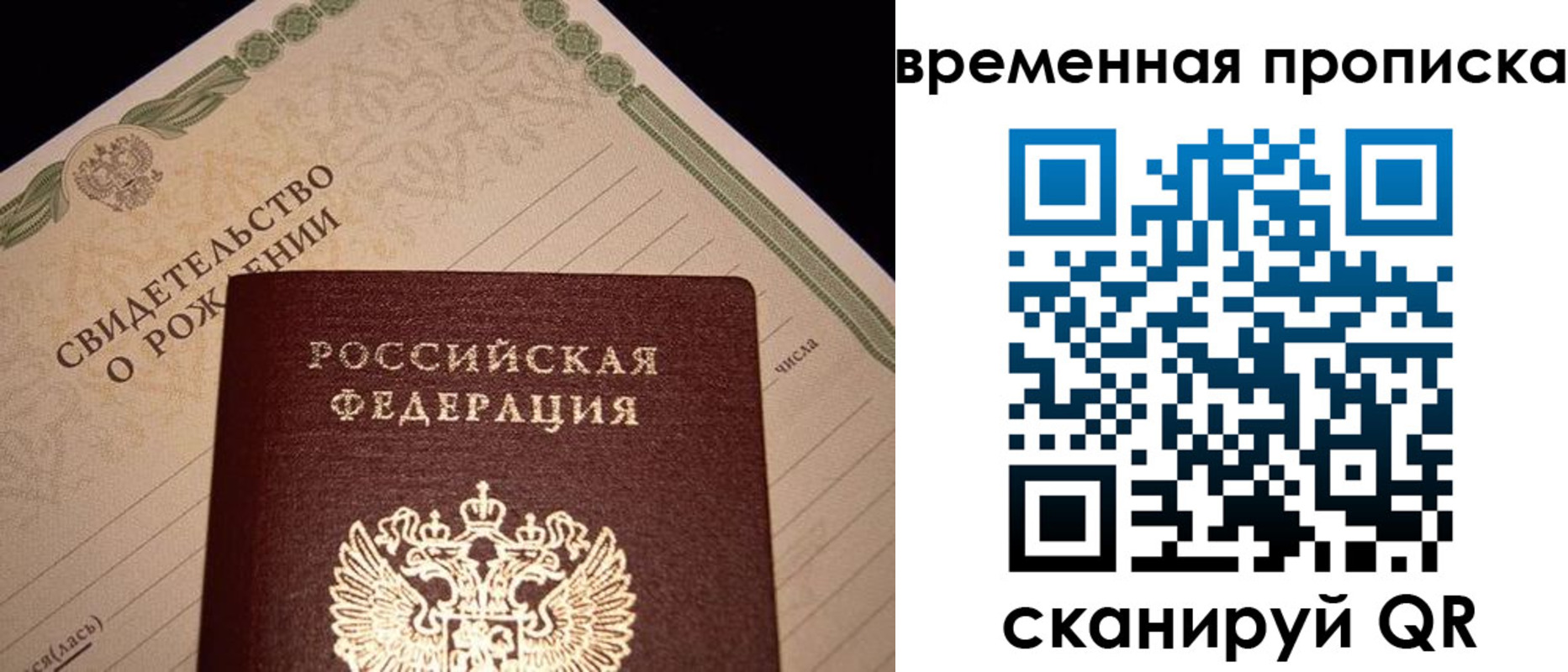 миграционный учет в Светлогорске