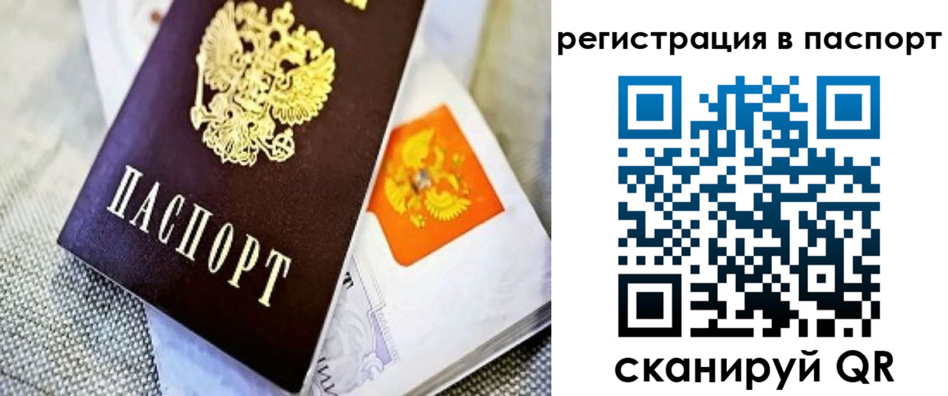временная регистрация в Светлогорске